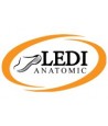 LEDI Anatomic